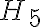  H_5 